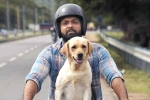 777 Charlie movie story, 777 Charlie movie rating, 777 charlie movie review rating story cast and crew, Rakshit shetty