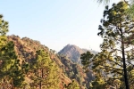 Kasauli breaking, Kasauli news, amazing things to do and see in kasauli, Icon
