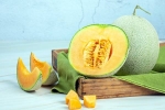 Muskmelon Seeds tips, Muskmelon Seeds breaking, health benefits of muskmelon seeds, Cakes