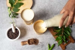 Buttermilk, Buttermilk for Weightloss breaking, buttermilk before bed will help in weight loss, Green tea