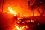 California Wildfire updates, California Wildfire, california declares wildfire emergency, Tesla ceo