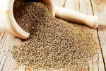 Chewing Ajwain health tips, Chewing Ajwain good, can chewing ajwain after dinner relieve acidity, Nights