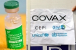 COVAX, Covishield and COVAX, sii to resume covishield supply to covax, Covax