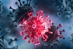USA Coronavirus latest updates, USA Coronavirus news, delta variant makes usa tensed again, Covid 19 patients