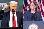 Donald Trump Vs Kamala Harris news, Donald Trump, donald trump calls kamala harris is married to a jewish man, Laughing