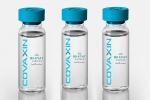 WHO, EUL for Covaxin latest updates, who delays the eul decision on covaxin, Covax
