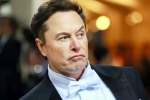 Elon Musk, Elon Musk India visit breaking updates, elon musk s india visit delayed, Eat