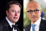 Elon Musk Vs Satya Nadella latest breaking, Elon Musk Vs Satya Nadella new breaking, elon musk s warning to satya nadella after gpt 5 launch, Elon musk