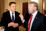 Donald Trump's Campaign updates, Donald Trump's Campaign, elon musk donates for donald trump s campaign, Pocket