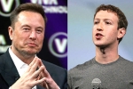 Mark Zuckerberg, Elon Musk, elon vs zuckerberg mma fight ahead, Brazil