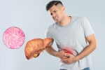 Fatty Liver research, Fatty Liver breaking, fatty liver can be reversed in just one month, Diet