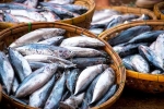 Fish good, Fish for hair loss, eat this fish twice a week to stop hair loss, Eat