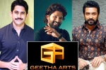 Geetha Arts, Naga Chaitanya, geetha arts to announce three pan indian films, Boyapati srinu
