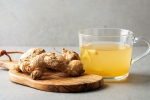 Ginger Tea health tips, Ginger Tea latest, how ginger tea can boost your morning walk, System