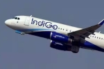 Central Asian cities Indigo Flights news, Central Asian cities Indigo Flights news, indigo cancels flights to central asian cities till feb 11th, Travel Central Asian cities Indigo Flights news, Central Asian cities Indigo Flights news, indigo cancels flights to central asian cities till feb 11th, Travel