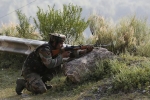 Pakistan violates cease fire, Pakistan violates cease fire, indian soldiers killed and mutilated by pakistani troops, Despicable me