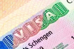 Schengen visa for Indians 2024, Schengen visa for Indians new visa, indians can now get five year multi entry schengen visa, Ntr