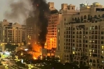 Iran Vs Dubai attacks, Iran Vs Dubai airports, iran attacks luxury hotels and airports in dubai, Tree