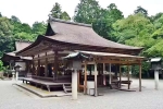 Japan Viral Mikami Shrine breaking updates, Japan Viral Mikami Shrine viral, why are travellers flocking to japan s viral mikami shrine, Pictu