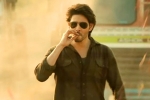 Mahesh Babu, Guntur Kaaram news, major changed for mahesh babu s guntur kaaram, Pooja hegde