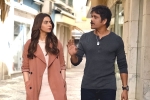 Manmadhudu 2 review, Manmadhudu 2 movie review, manmadhudu 2 movie review rating story cast and crew, Playboy