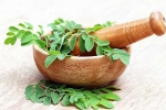 Moringa for health, Moringa advantages, is moringa a must have in your diet, Heart Moringa for health, Moringa advantages, is moringa a must have in your diet, Heart