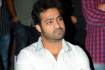 NTR Arts, NTR next film, ntr s fans unhappy with his decision, Nannaku prematho