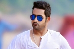 NTR updates, NTR updates, ntr s jai lava kusa updates, Nannaku prematho