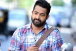 NTR new movie, KS Ravindra, official ntr s next film locked, Sardar gabbar singh NTR new movie, KS Ravindra, official ntr s next film locked, Sardar gabbar singh