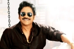 Annapurna Studios, Bangarraju news, nag s bangarraju to have a special dancing number, Shata