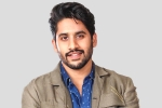 Asian Cinemas, Love Story, interesting title for naga chaitanya s next, Venky mama