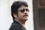 Alia Bhatt, Nagarjuna Hindi movie, nag signs a bollywood flick, Devadasu
