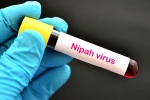 Nipah Virus in South India, Nipah Virus new case, nipah virus is back again two deaths registered, World health organization