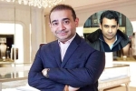 Nehal Deepak Modi latest breaking, Nehal Deepak Modi allegation, nirav modi s brother arrested in usa, Fraud
