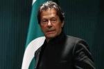 imran in pulwama, pak imran on pulwama, pakistan prime minister imran khan denies role in pulwama terror attack, Crpf jawans