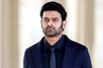 Prabhas new movie title, Prabhas new movie, new updates of prabhas and maruthi film, Boman