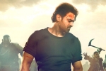 Saaho updates, Saaho release date, saaho trailer prabhas ready with one more winner, Look stunning