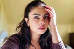 Priyanka Chopra, Don't Look For Virgin Wife statement, priyanka chopra breaks silence on don t look for virgin wife comment, Story