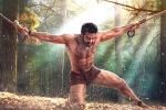 RRR promotional song, RRR budget, rrr 22 days collections, Shriya
