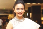 Rakul Preet Singh news, Rakul Preet Singh latest, rakul preet s multi starrer, Actress rakul