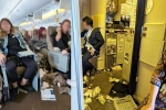 Singapore Airlines turbulence horror injured, Singapore Airlines turbulence horror, one dead and 30 injured in singapore airlines turbulence horror, Singapore airlines