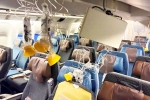 Singapore Airlines turbulence horror injured, Singapore Airlines turbulence, singapore airlines statement after turbulence horror, Singapore airlines