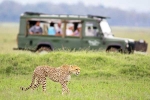 South African Safari Trip places, South African Safari Trip total video, how to plan your south african safari trip, Earth