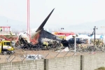 South Korea Plane Crash deaths, South Korea Plane Crash deaths, pilot made mayday call and mentioned bird strike in south korea plane crash, Ambulance