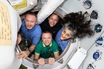 Sunita Williams, Sunita Williams breaking, spacex crew dragon docks to reach sunita williams, Human