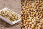 Sprouts vs Boiled Chana comparision, Sprouts vs Boiled Chana which is better, sprouts vs boiled chana for weight loss, Dinner