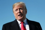 Birthright Citizenship, United States, trump faces criticism over birthright citizenship, Lindsay Birthright Citizenship, United States, trump faces criticism over birthright citizenship, Lindsay