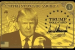 Trump's Platinum Card, H-1B Workers, all about trump s gold platinum corporate gold cards for h 1b workers, Review