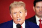 Donald Trump Tariff War with India news, Donald Trump Tariff War with India statement, top us economist on trump s tariff war with india, Narendra modi