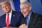 Donald Trump, United States, us could start reopening in may anthony fauci, Fight back Donald Trump, United States, us could start reopening in may anthony fauci, Fight back